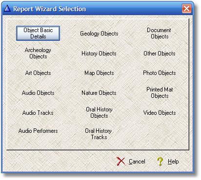 Report Wizard selection window