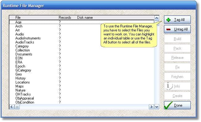 Runtime File Manager